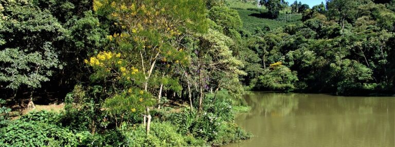 Novo Painel de Monitoramento do Licenciamento Ambiental em Minas disponibiliza acompanhamento de dados e cumprimento de metas