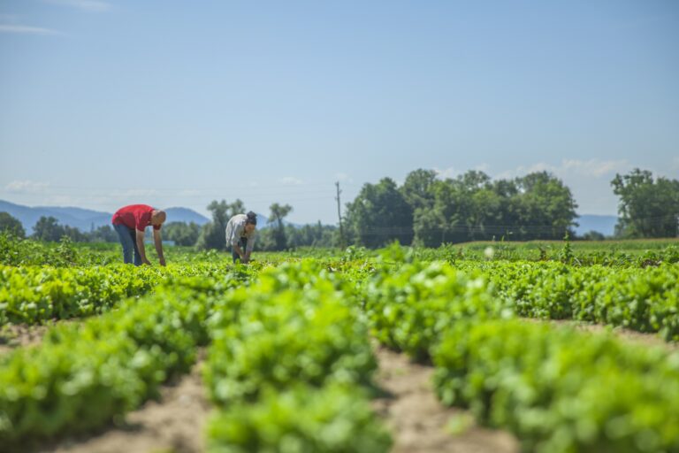 Entenda a presença invisível do agro no nosso dia a dia