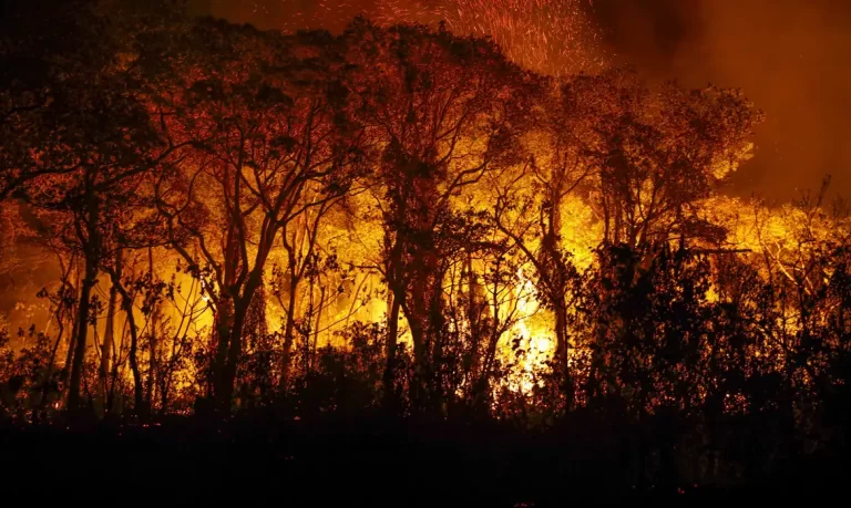 PF investiga incêndios criminosos no Pantanal