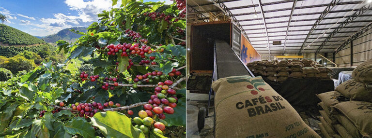 Acordo entre Mercosul e União Europeia traz impacto positivo para o agronegócio mineiro