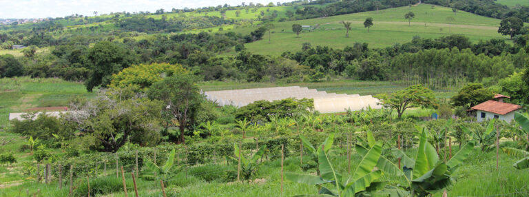 Plataforma do Cadastro Ambiental Rural já analisou mais de 1 milhão de imóveis em Minas