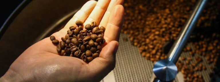 Governo de Minas lança estudo sobre os impactos do acordo entre o Mercosul e União Europeia para Minas Gerais