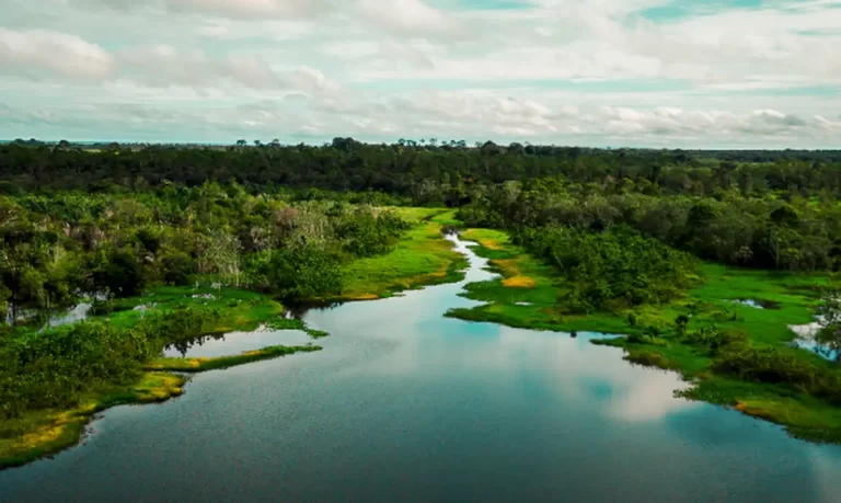 Área de proteção terá trilha ecológica e turismo de base comunitária