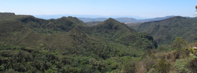 Minas Gerais reduz em 25% o desmatamento na Mata Atlântica