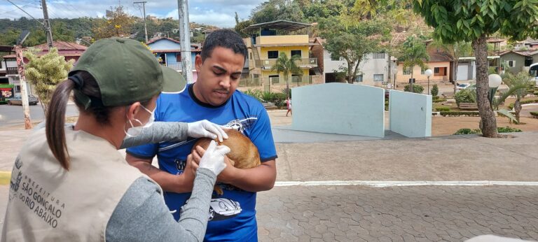 São Gonçalo inicia campanha de vacinação antirrábica para cães e gatos