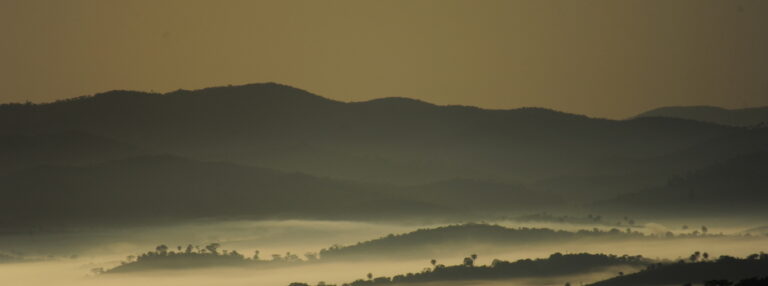 Instituto Estadual de Florestas abre credenciamento para venda de alimentos no Parque Estadual Mata do Limoeiro