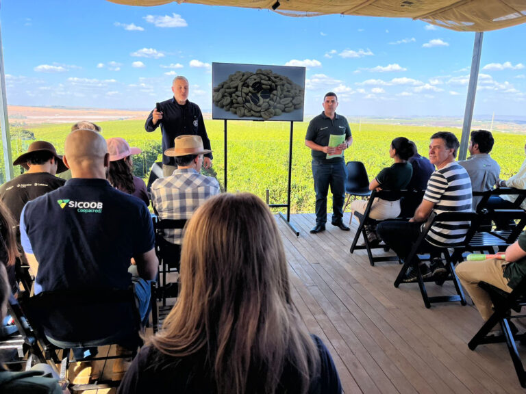 BDMG abre inscrições para capacitação gratuita em agricultura regenerativa com foco em pecuária bovina e pastagens