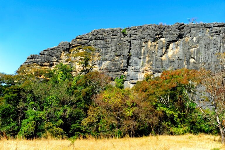 Desmatamento no Cerrado de Minas Gerais cai 34% e estado supera média nacional na redução dos alertas