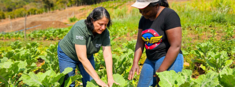 Governo de Minas define novas regras para simplificar licenciamento ambiental para produtores rurais