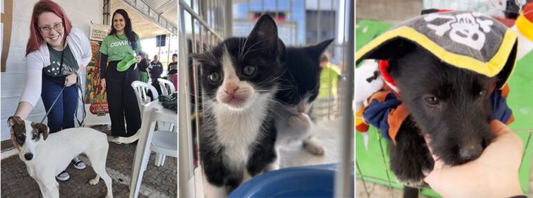 Feiras de adoção de animais promovidas pela Cemig são sucesso em todo o estado