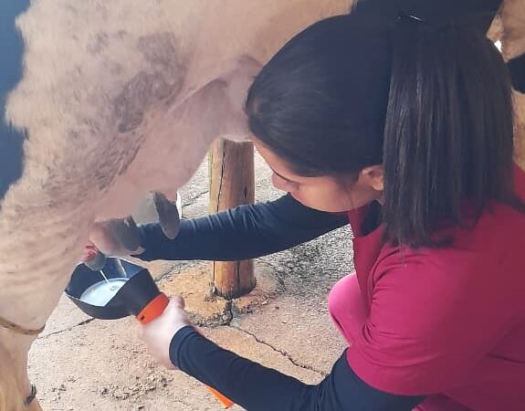 Parceria entre Prefeitura e UFMG promove melhorias na produção de leite em São Gonçalo do Rio Abaixo