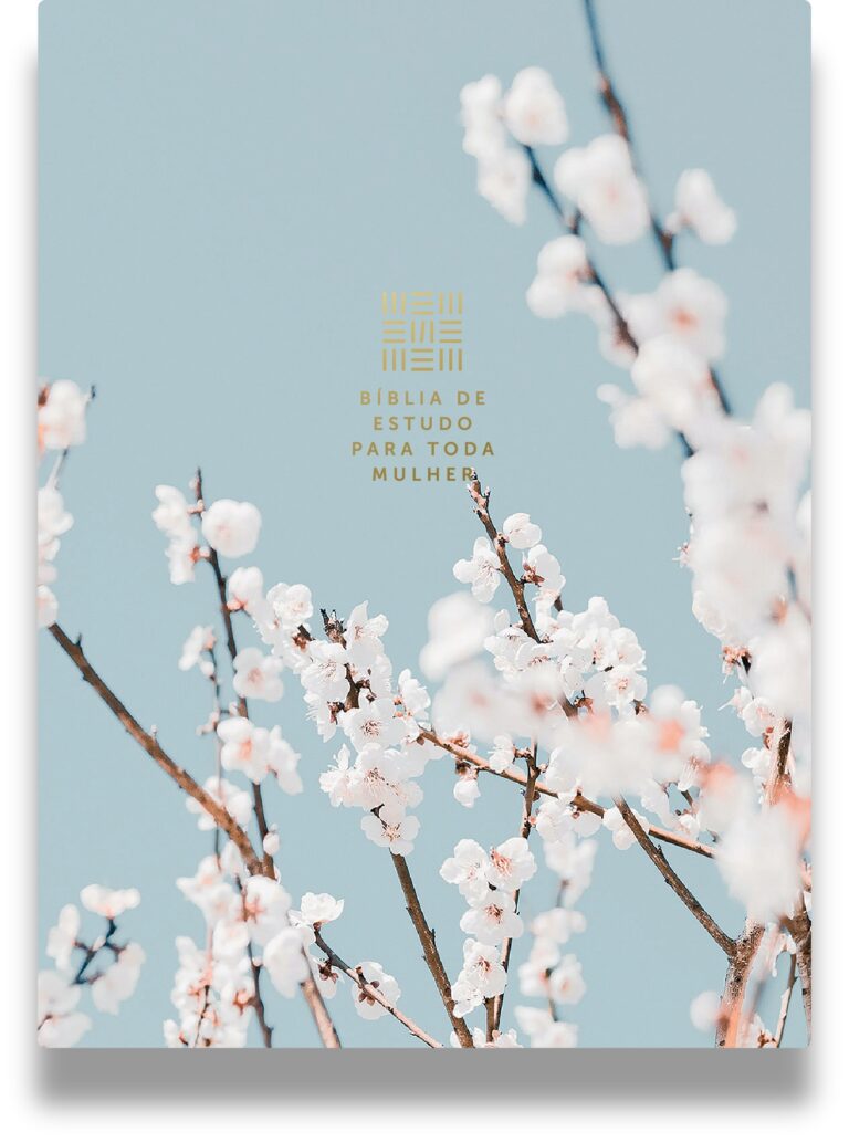 Bíblia de estudo feminina reúne cem autoras e ganha versão com recursos digitais