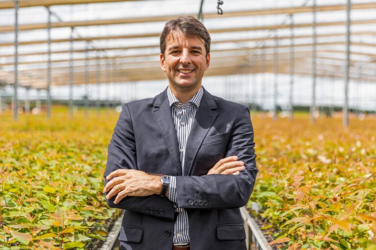 Entrevista I Setor florestal brasileiro aproveita COP30 para reforçar o reconhecimento global e a sustentabilidade 