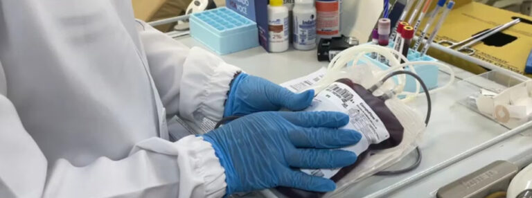 Hemominas homenageia doadores que ajudam a salvar vidas e fortalece rede de hemoterapia em Minas Gerais