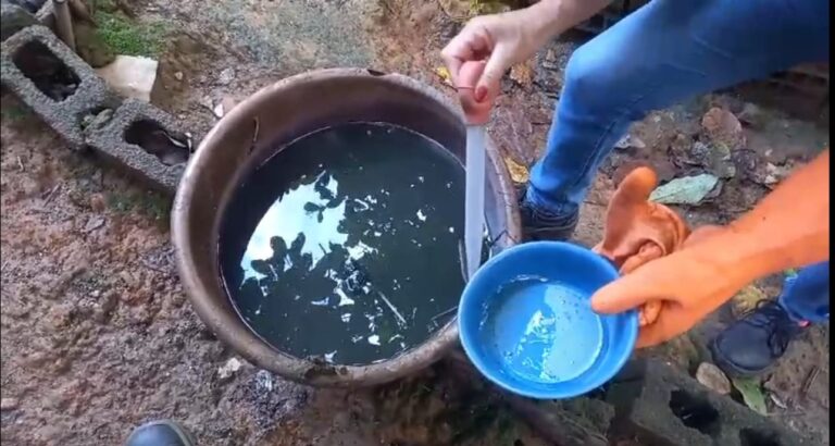 Dia D de Combate à Dengue convida a população para deter o Aedes aegypti