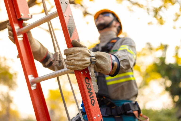 Cemig esclarece cinco conceitos populares sobre energia utilizados incorretamente 