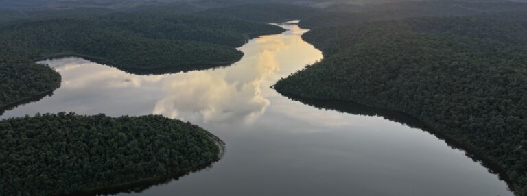 Instituto Estadual de Florestas promove sessão pública sobre edital de parceria no Parque do Rio Doce