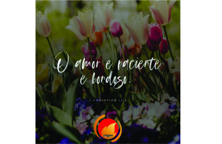 Alimento Diário: Uma reflexão para o seu dia!