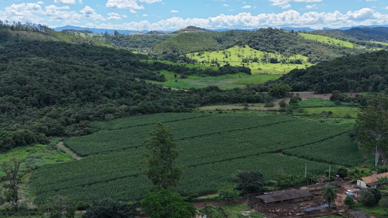 São Gonçalo é finalista no Prêmio Sebrae Prefeitura Empreendedora na categoria Empreendedorismo Rural