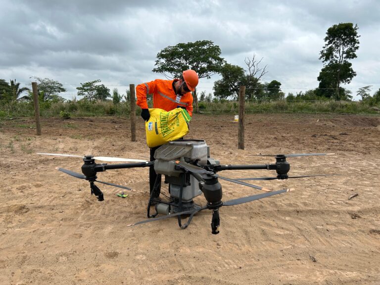 Drones e inteligência artificial aceleram recuperação ambiental em áreas da Amazônia