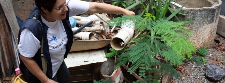 Governo de Minas Gerais reforça combate ao Aedes aegypti no período chuvoso e mobiliza todo o estado