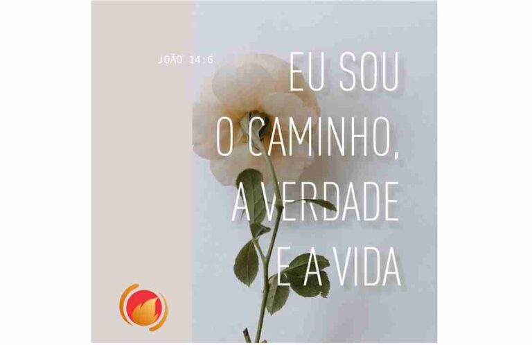 Alimento Diário: Uma reflexão para o seu dia!