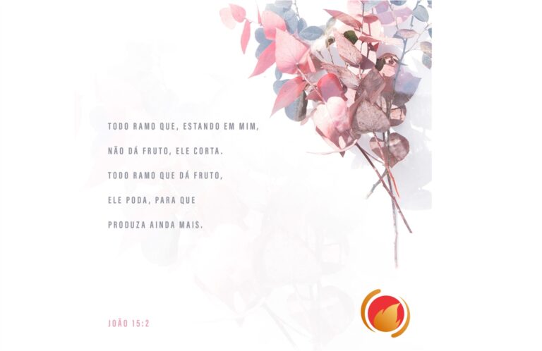 Alimento Diário: Uma reflexão para o seu dia!