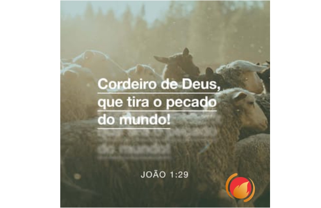 Alimento Diário: Uma reflexão para o seu dia!