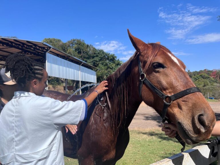 Equoterapia amplia atividades e fortalece o desenvolvimento de crianças com necessidades especiais