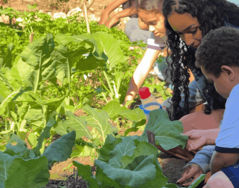 Projeto Mãos à Horta cresce e chega a novas escolas em Itabira