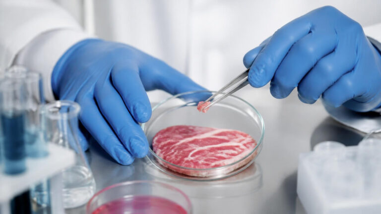 Carne cultivada avança no mundo e se aproxima da produção em escala